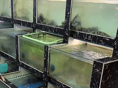 -众味海鲜大排档·活海鲜·潮汕味(南澳店)