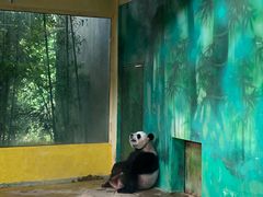 -杭州野生动物世界