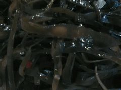 凉菜-老班长手工灌汤包老店(东山店)