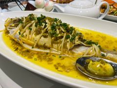雪菜竹笋丝蒸黄鱼柳-南麓·浙里(外滩店)