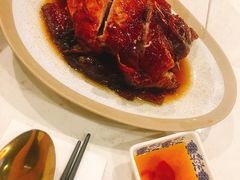 -裕.鹅庄