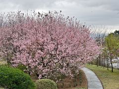 -福建鲤鱼洲酒店