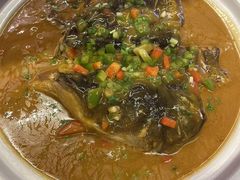 -巴人堂(女儿城店)