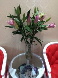 iphone_upload_pic-甲壳儿美甲美睫