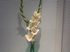 -潮堂 · 潮州菜(人广来福士店)