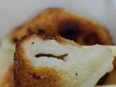 -洋洋锅贴