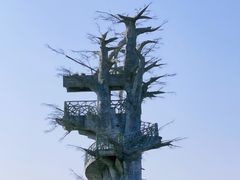 -芒洲湿地公园