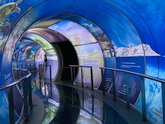 -房山世界地质公园博物馆