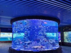 -左海海底世界
