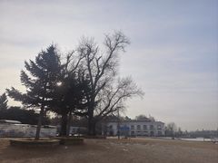-南湖大桥