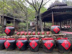 -姑婆山旅游区