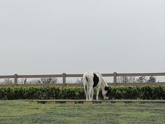 -汉长安城未央宫国家考古遗址公园