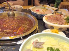 -一斗火锅·招财羊毛肚(北温泉九号店)