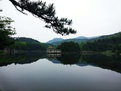 -庐山风景区花径公园