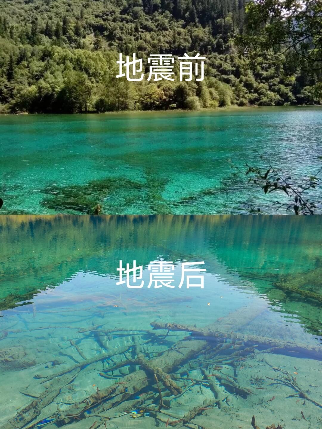 十年后再次来到九寨沟