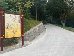 -黄埔油麻山森林公园