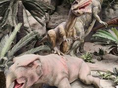 -国家自然博物馆