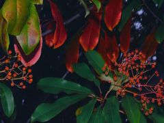 -白塘生态植物园