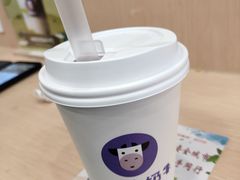 -一只酸奶牛(丹尼斯大卫城店)