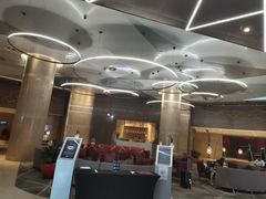 -南京禄口机场雅高铂尔曼大酒店