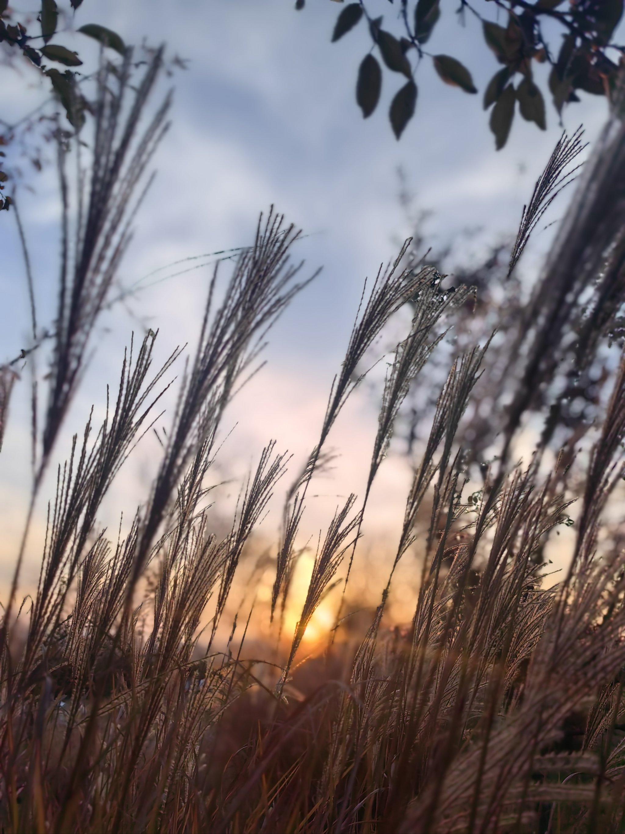 西安看夕阳绝佳地方