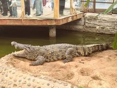 -石家庄市动物园