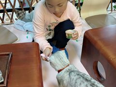 -李小姐の猫咖啡馆(五角场店)