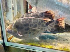 -大笑饭堂(甲子桥店)