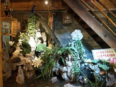 大堂-多哥水傣味餐厅(司马巷店)