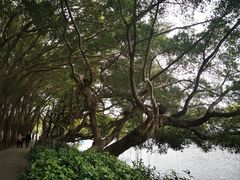 -潮州西湖