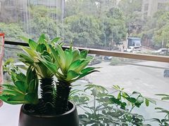 -山泉公馆酒家(珠江新城店)