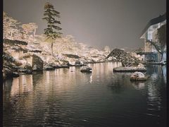 -罗红摄影艺术馆