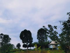 -紫颐香薰山谷景区