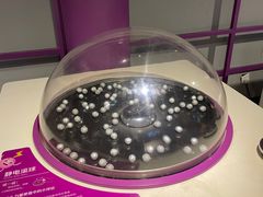 -陕西科学技术馆