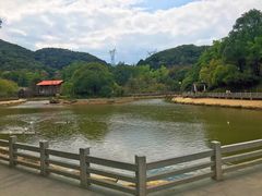 -广州市帽峰山景区