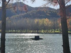 -千年银杏谷文化旅游区