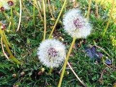 北京拉斐特温泉城堡酒店-北京拉斐特城堡酒店