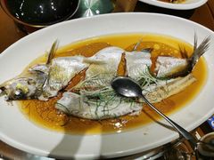 -丹江渔村(望京店)