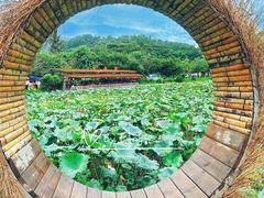 -红山村