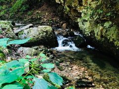-本溪汤沟绿石谷森林公园