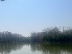 -上海海湾国家森林公园