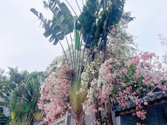 -深圳国际园林花卉博览园