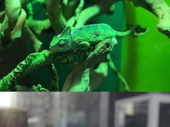 -海合安武汉极地海洋公园