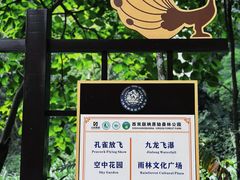 -西双版纳原始森林公园