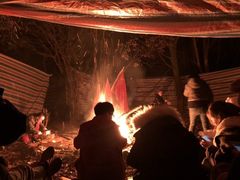 -庐山艺术特训营