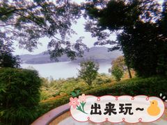 -天目湖涵田半山温泉