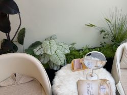 -海涛医疗美容·面部抗衰·注射美鼻