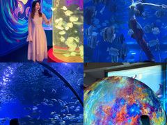 -顺德南宏海立方海洋公园