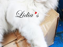 猫-Sirena海妖日咖夜酒