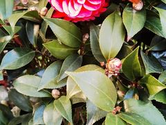 -香满堂川湘菜烤鱼(龙茗路店)